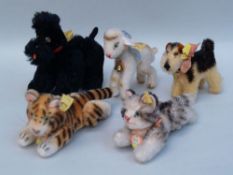 Lot 5 Steiff animals Poodle, Terrier, Cat, Tiger and lamb, all with button and label. H. about 9-