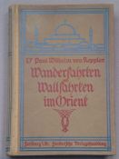 Keppler,Paul Wilhelm von(Bischof von Rottenburg) - Wanderfahrten und Wallfahrten im Orient,