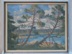 Schlegel, R. - View of the ''Wildsee'', oil on canvas, signed lower right, reverse inscribed ''