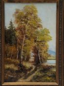 Eber, F. mid-20th century. - Walk on the lake, oil / wood, signed, approx 36x24cm, frame    Starting