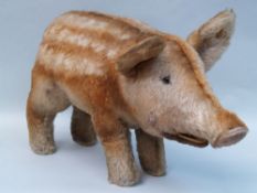 Piglet - Steiff, button and label H.ca 27cm L.55cm    Starting price: 30    Frischling - Steiff,