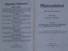 Kerner von Marilaun,Anton/Hansen,Adolf - Pflanzenleben,3 Bde,3.Auflage,Leipzig-Wien,
