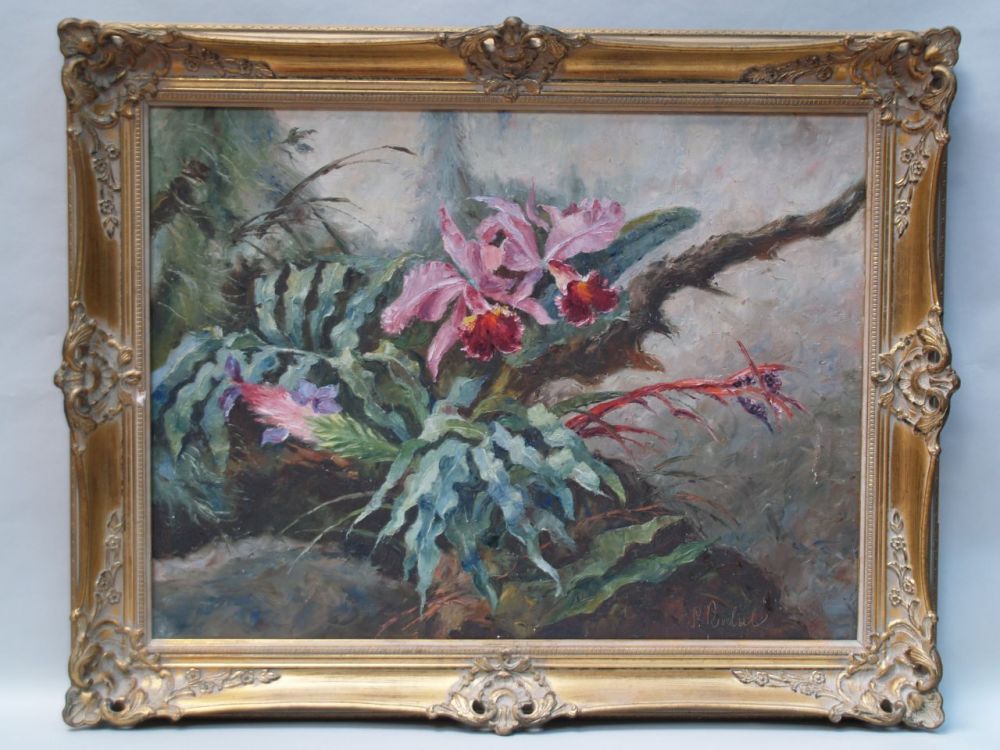 Rodul, S. - Orchid, oil on canvas, signed lower right, c.60x80cm, elaborate gilt framing    Starting