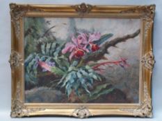 Rodul, S. - Orchid, oil on canvas, signed lower right, c.60x80cm, elaborate gilt framing    Starting