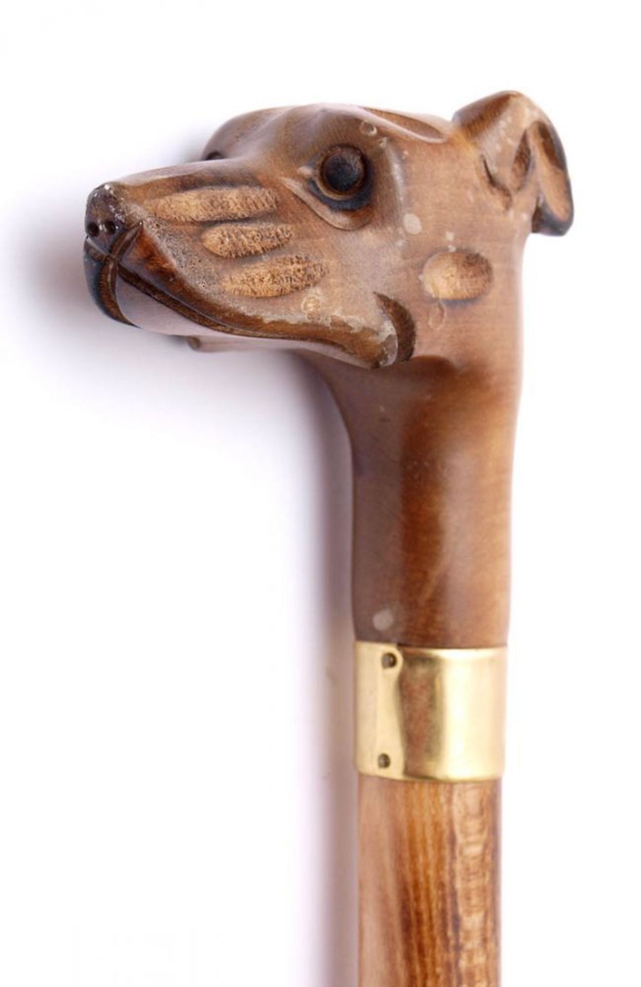 Spazierstock Griff in Form eines plastisch geschnitzen Hundekopfes. Schuss aus Hartholz, Zwinge - Bild 2 aus 3