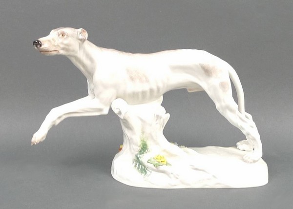 A Meissen porcelain figure of a greyhound modelled to the left with his head slightly turned, his