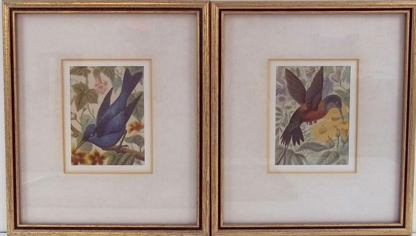 Baxter prints by Christies New Hall Vault, circa 1850, assorted bird studies to include Humming