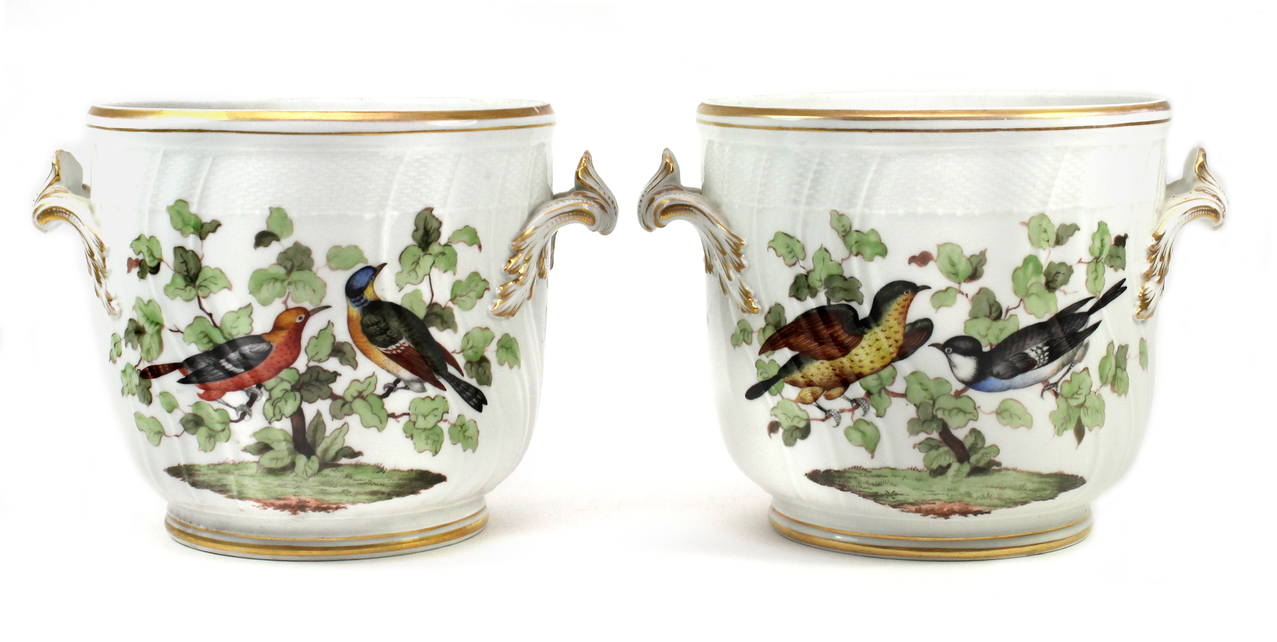 A pair of Berlin porcelain cache pots, early 20th century, decorated with exotic birds within a gilt