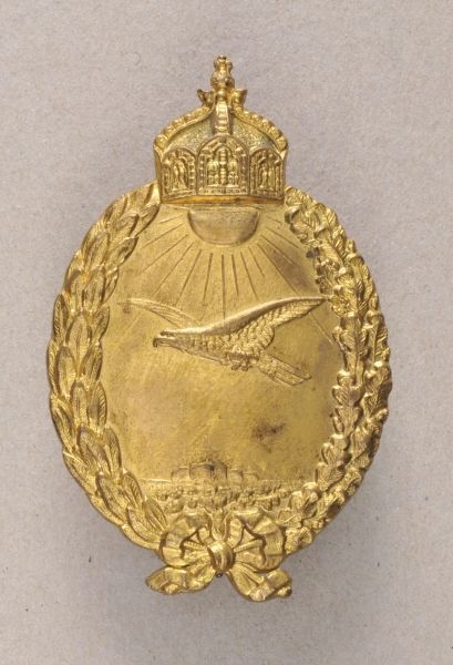 Collector Copies  German empire: badge for marine pilots of seaplanes.  Non-ferrous metal gilded, on