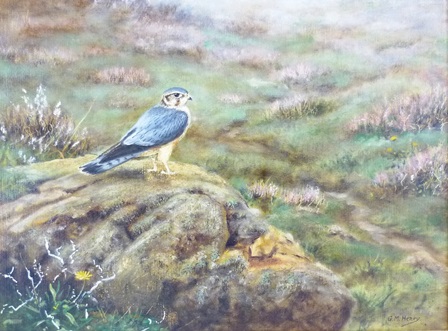 G.M. HENRY ""Merlin"" resting on a rock, looking out over moorland, Oil on board, signed, 29 x 39cm - Image 2 of 2