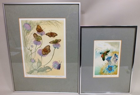 DAVID KOSTER ""Fritillaries on Scabious"" an Etching and Aquatint, limited edition, signed and