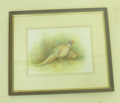 CHRISTOPHER HUGHES A cock and hen pheasant in a landscape, a Watercolour, signed, 15cm x 21cm (n.b.