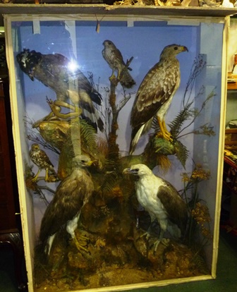 A VICTORIAN COLLAGE OF SIX BIRDS OF PREY including eagles with fish and snake, in painted glazed - Image 2 of 3