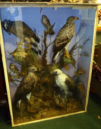 A VICTORIAN COLLAGE OF SIX BIRDS OF PREY including eagles with fish and snake, in painted glazed - Image 3 of 3