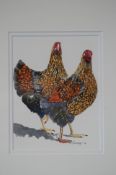 Phillip Knaggs Watercolour Signed"Chickens"16 cm x 12 cm