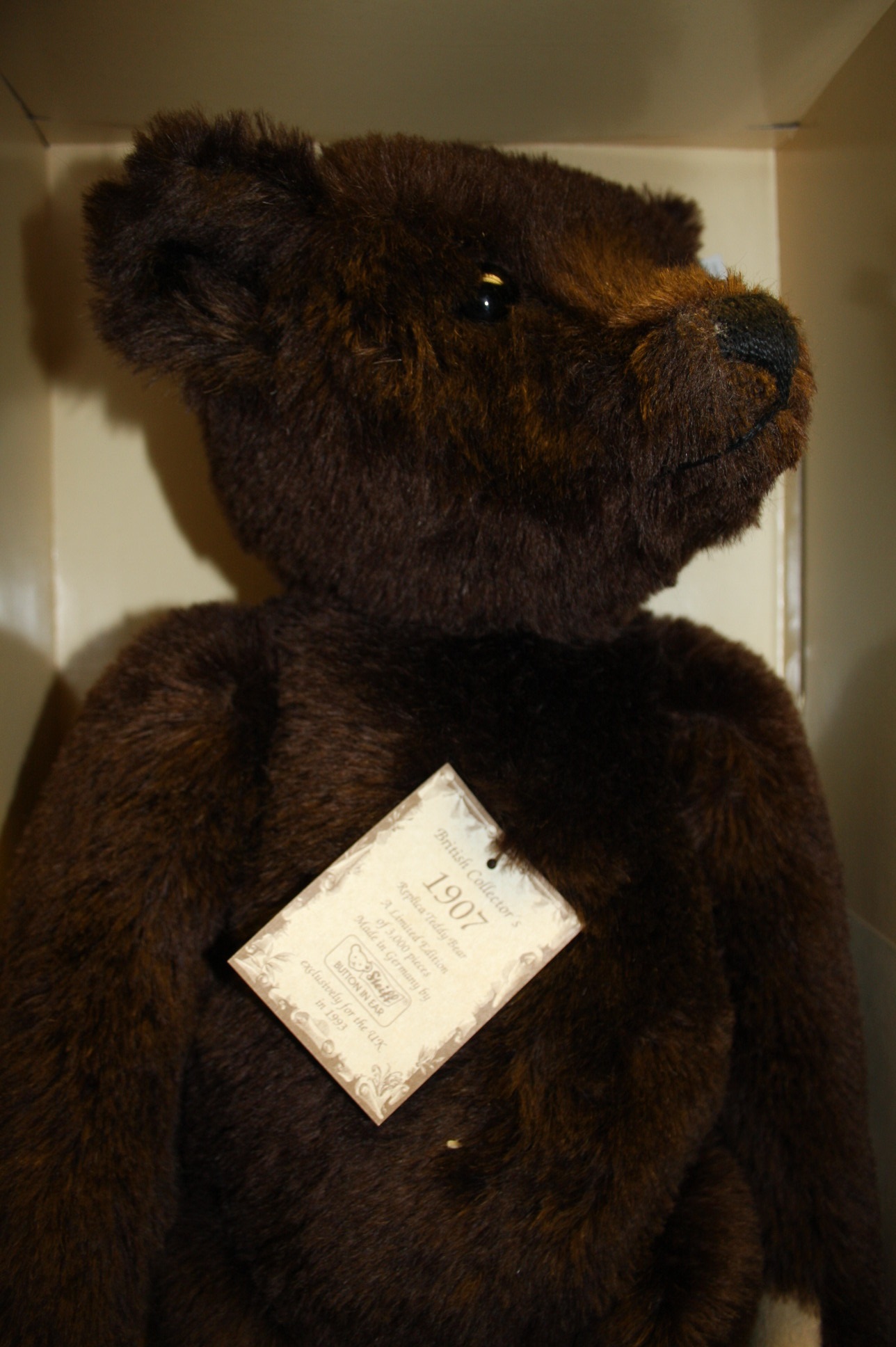A  boxed modern Steiff brown bear.