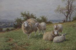 Dixon Clark 1849-1944 Watercolour Signed"Sheep grazing in a rural landscape"23 cm x 29 cm