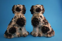 A large pair of black and white Staffordshire spaniels, each with a gilt collar.32 cm high