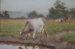 Dixon Clark 1849-1944 Watercolour Signed"Cattle watering by a river"23 cm x 29 cm