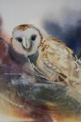 Charles Kelly Watercolour Signed"Barn Owl"36 cm x 26 cm