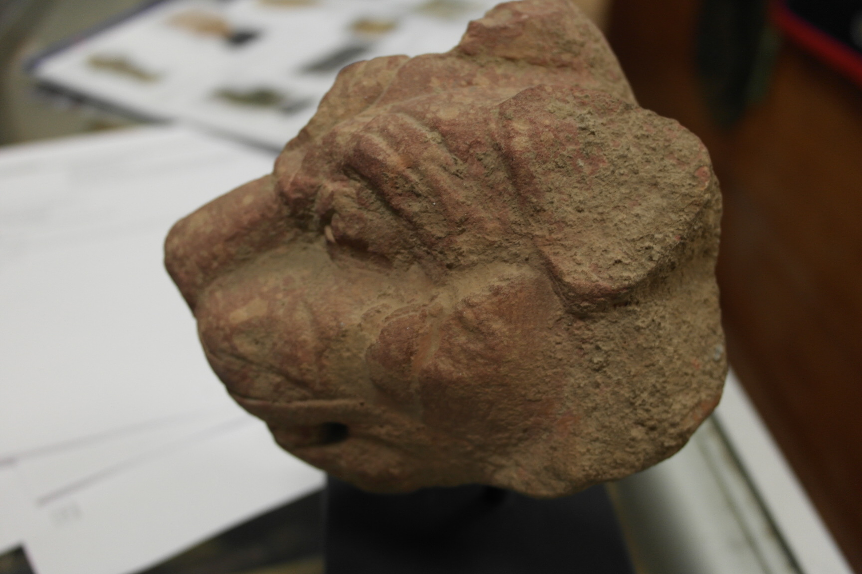 A 1st-2nd Century Stone Tiger's Head:
a carved red sandstone mounted tiger's head: Mathura - Image 3 of 5