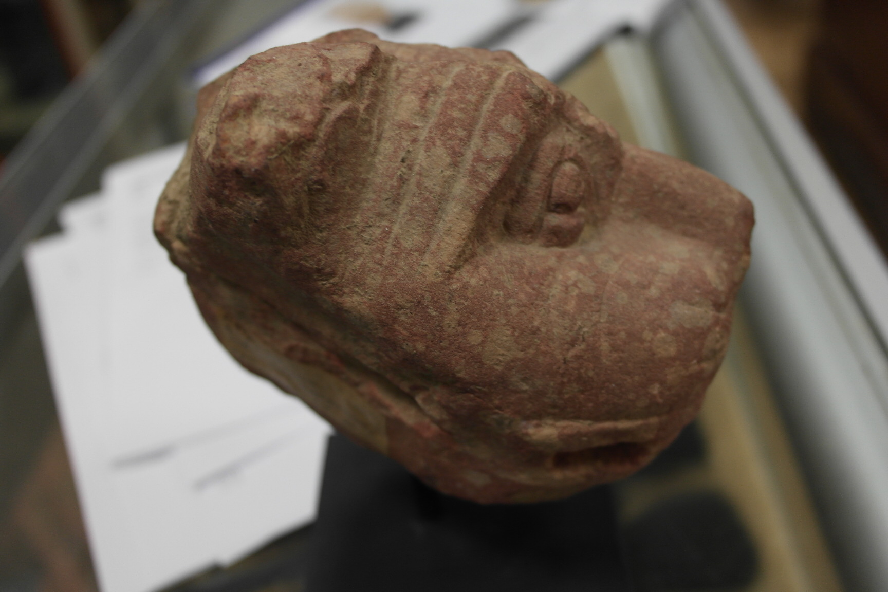 A 1st-2nd Century Stone Tiger's Head:
a carved red sandstone mounted tiger's head: Mathura - Image 5 of 5
