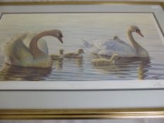 Limited Edition Print entitled `The Royal Family`, nr 51/600, the print depicts a family of swans,