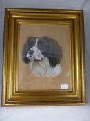 Pastel on Buff Paper, depicting a King Charles Spaniel, signed Arthur Wardle  bottom left together