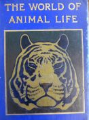 A box of assorted books including The New Illustrated Atlas,  The World of Animal Life,  Children`s