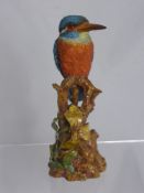 An early 20th century Sitzendorf porcelain figure of a KIngfisher perched on a tree stump,