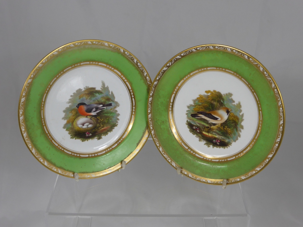 A Pair of Hand Painted Spode Cabinet Plates, the first depicting a Bullfinch on her nest nr 2114