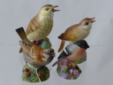 Four Royal Worcester Figures of Birds comprising a bullfinch, a sparrow, a nightingale and a thrush
