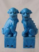 A Pair of 20th Century High Glaze Turquoise Dogs of Fo, the male figure depicted seated with raised