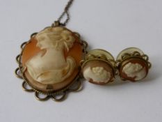 A Lady`s Shell Cameo in 9 ct Gold Mount, together with a pair of shell cameo earrings.