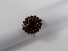 A Lady`s 9 ct hallmark Garnet Cluster Ring, size R, approx 3.2 gms.