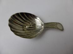 A Solid Silver Georgian Caddy Spoon, the spoon having finely engraved handle with shell form bowl