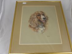 Mary Browning dated 1974, original pastel of a Cocker Spaniel approx. 355 x 470 mm entitled ""Bim""