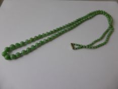 A Vintage Graduated Apple Green Jade Necklace, length 77 cms.