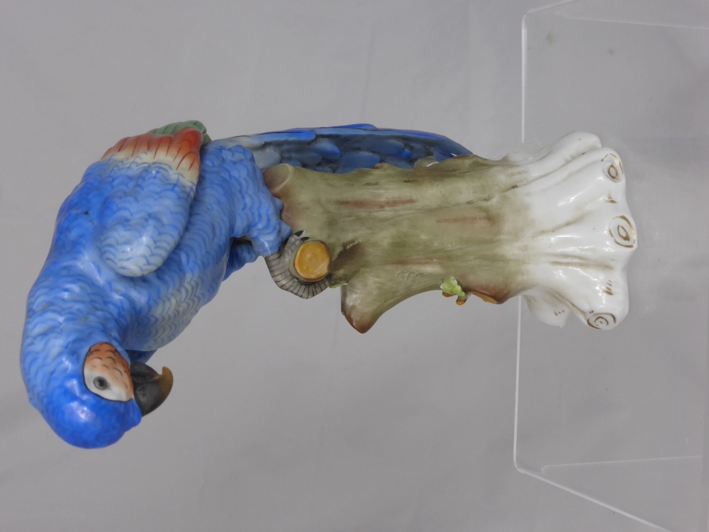 A Continental Porcelain Figure of a Blue Parrot, approx 32 cms, waf.