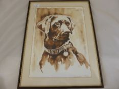 An original Water Colour depicting a Labrador signed Jeanette May to bottom right 30 x 42 cms.