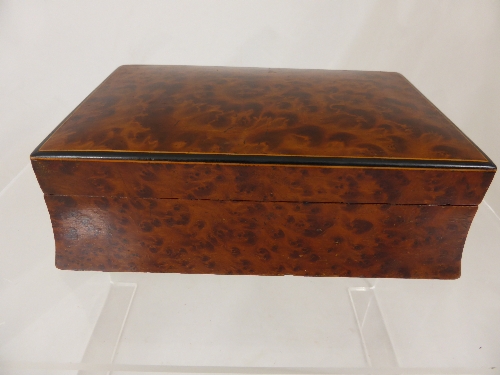 A Bird`s Eye Maple Cigar Box, 11 x 17.5 x 6 cms.