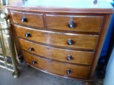 Victorian bow fronted mahogany chest of drawers having two short and three graduated long drawers,