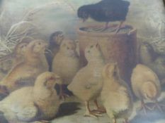 Gustav W Seitz, two prints of chicks feeding both framed and glazed, approx. 32 x 37 cms.