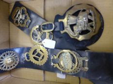 A quantity of horse brasses on leather harnesses depicting a lion, pony, temple and symbol of the