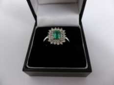 Lady`s 18ct white gold emerald ( 6 x 4 mm) and diamond ( 50 pts) cluster ring, size O, approx. 4.2