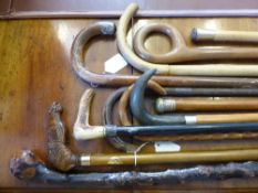 Collection of miscellaneous walking sticks including Briar Wood, Split Cane, Mahogany, Brass topped