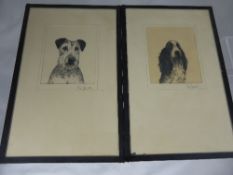 Two pencil drawings of dogs, one of a spaniel and the other a terrier signed G. Weire 9 x 10 cms.