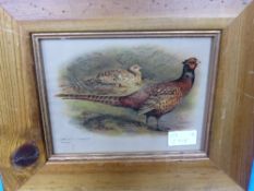 Two vintage prints depicting pheasants, framed and glazed, approx. 20 x 15 cms.