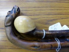 A vintage walking stick having a carved handle in the form of a hound together with one other