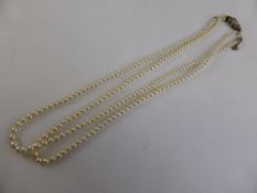 Lady`s Edwardian Double Strand of Graduated Cultured Pearls, approx 41 cms length.